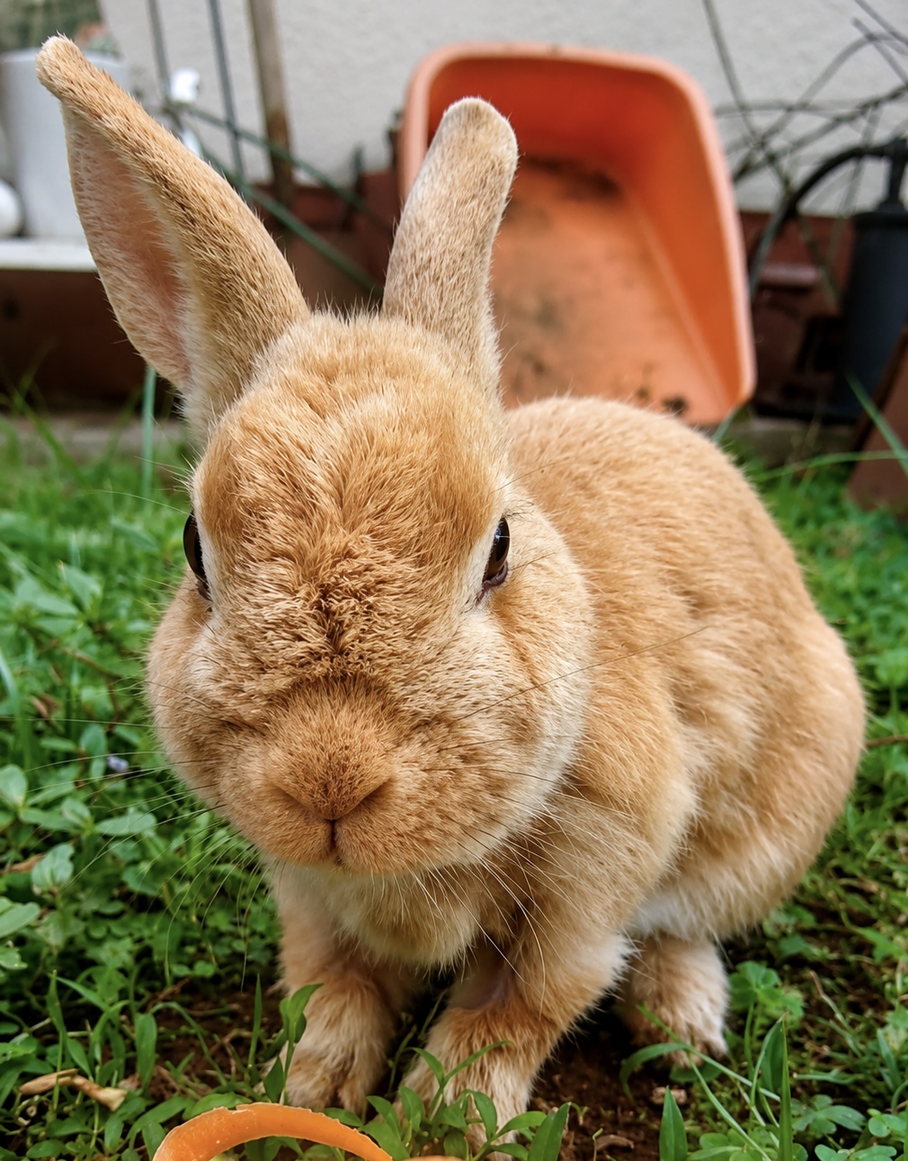 特殊な動物や多頭飼いにも対応できる豊富な経験と確かな専門知識